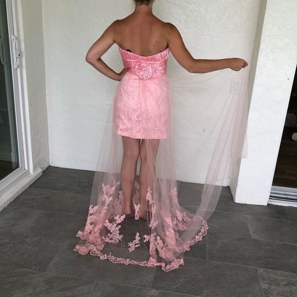 Alyce Paris Pink Etherial Lace Prom Pageant Gown Dress Womens 6 - Picture 3 of 11